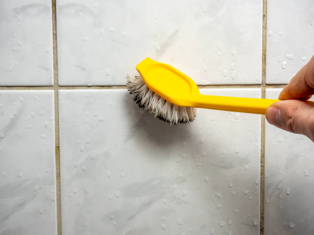 Best Professional Mold Removal  in Corona, CA