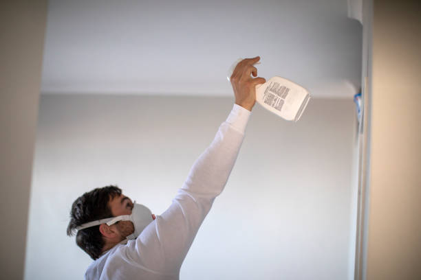 Best Mold Testing  in Corona, CA