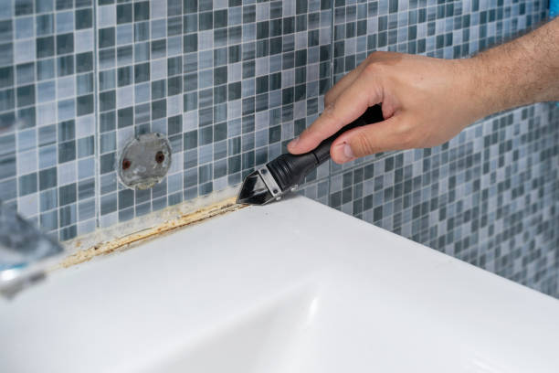 Best Residential Mold Removal  in Corona, CA