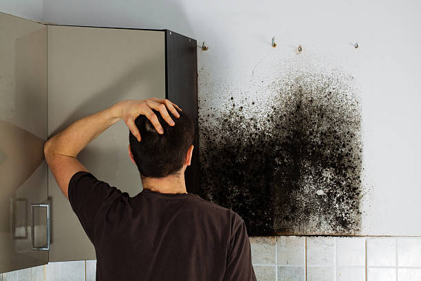 Best Same-Day Mold Removal  in Corona, CA